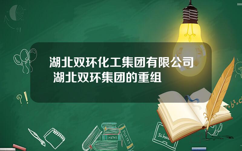 湖北双环化工集团有限公司 湖北双环集团的重组